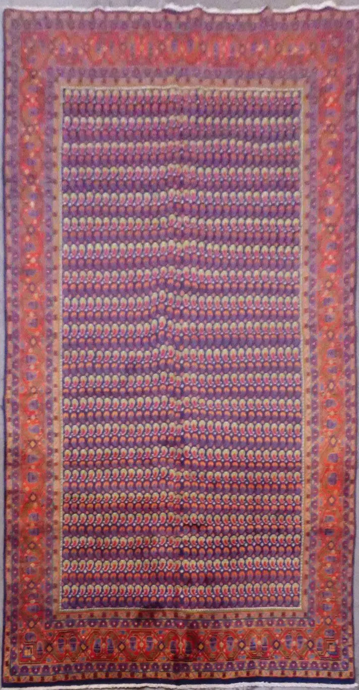 P1110428T Medium eb13db34 2ecd 4857 b98b 2499d4ca0319